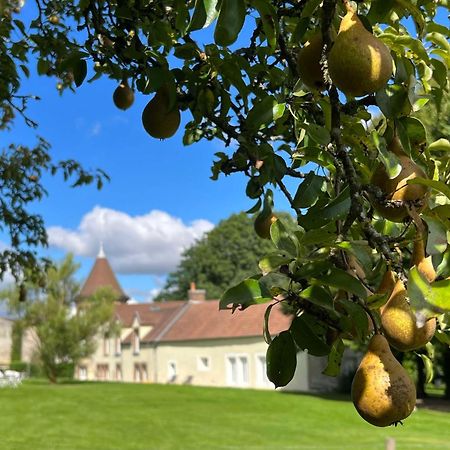 Baye  Le Petit Chateau المظهر الخارجي الصورة
