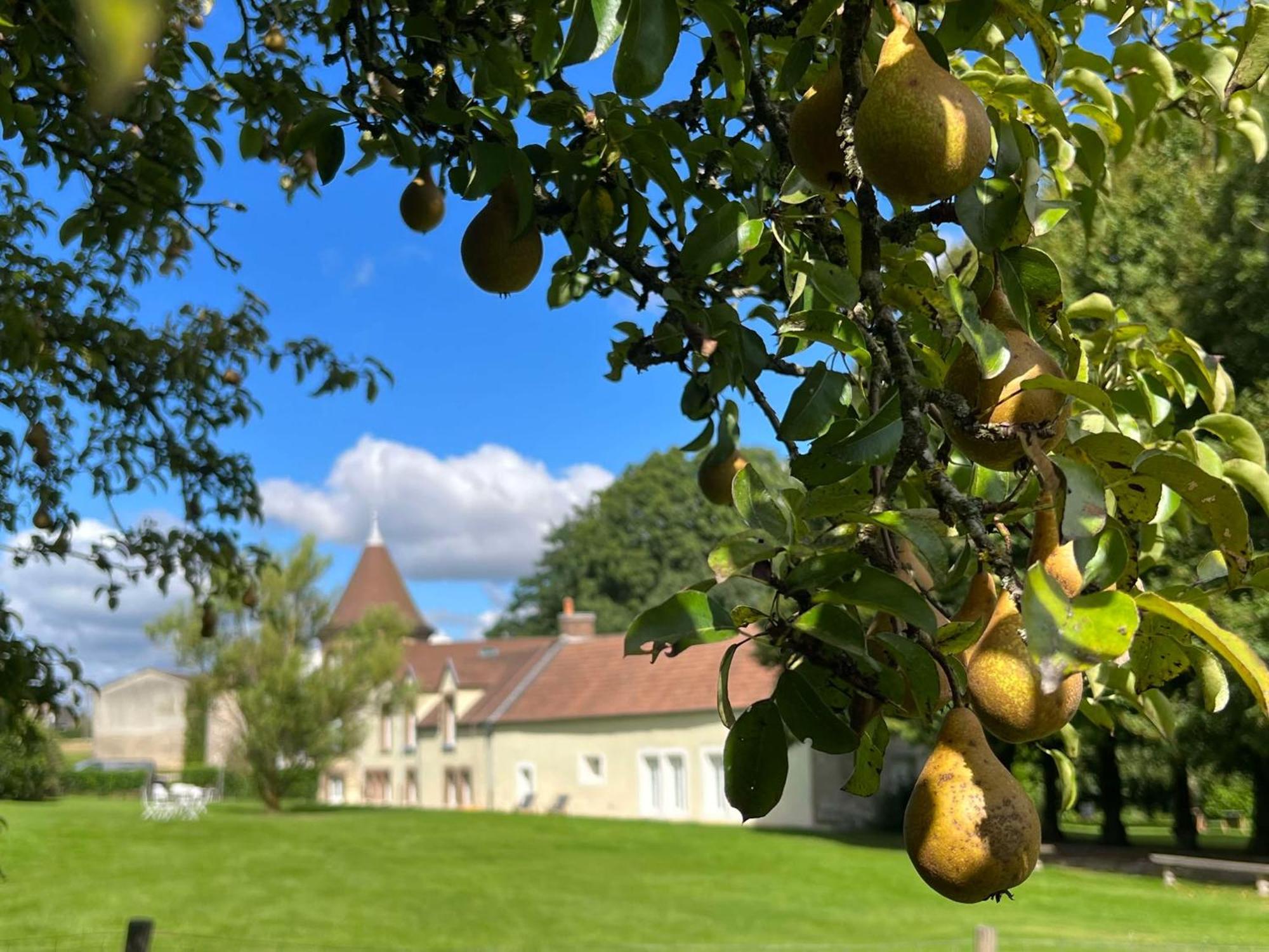 Baye  Le Petit Chateau المظهر الخارجي الصورة